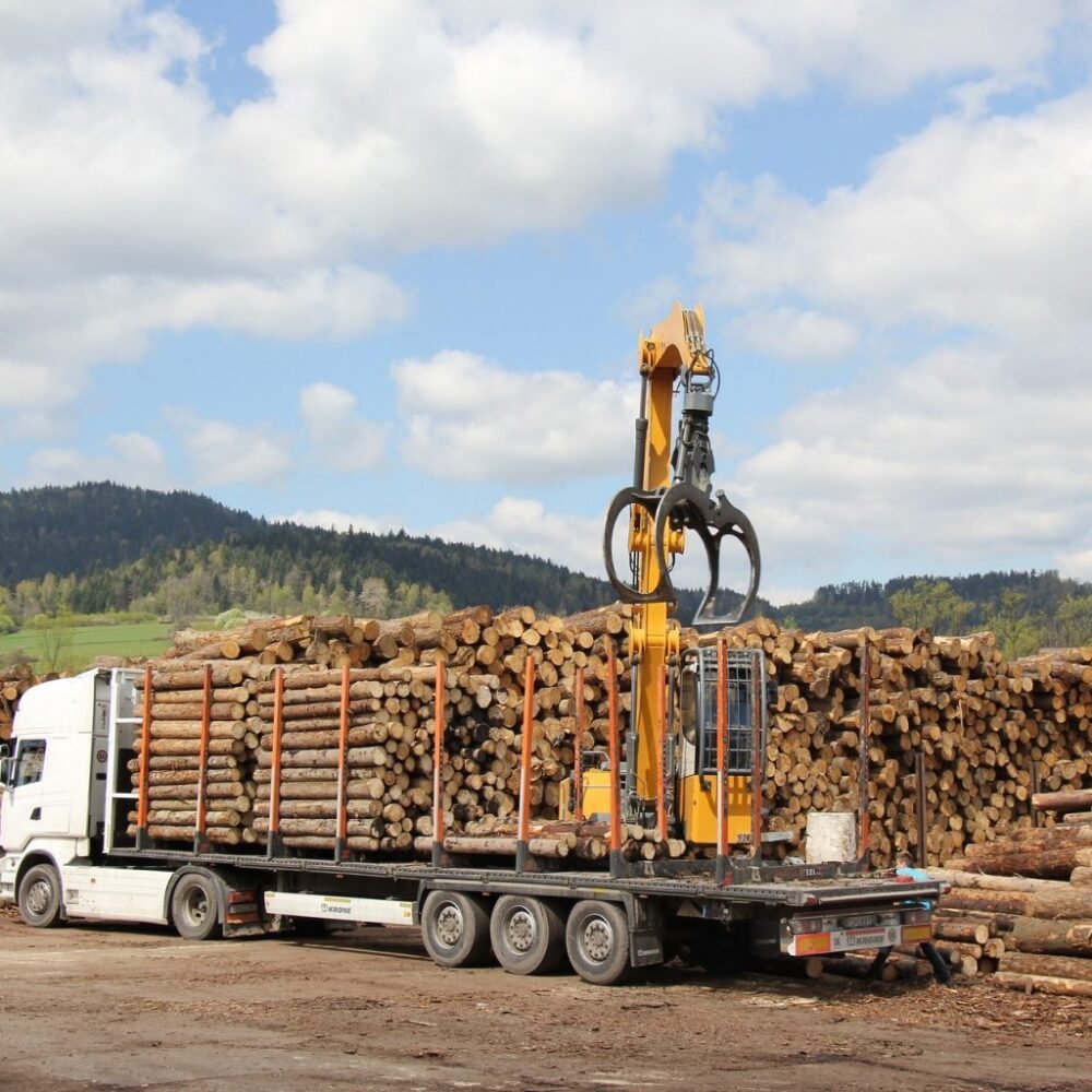Hêtre en grume – Camion complet 50 stères – Image 2